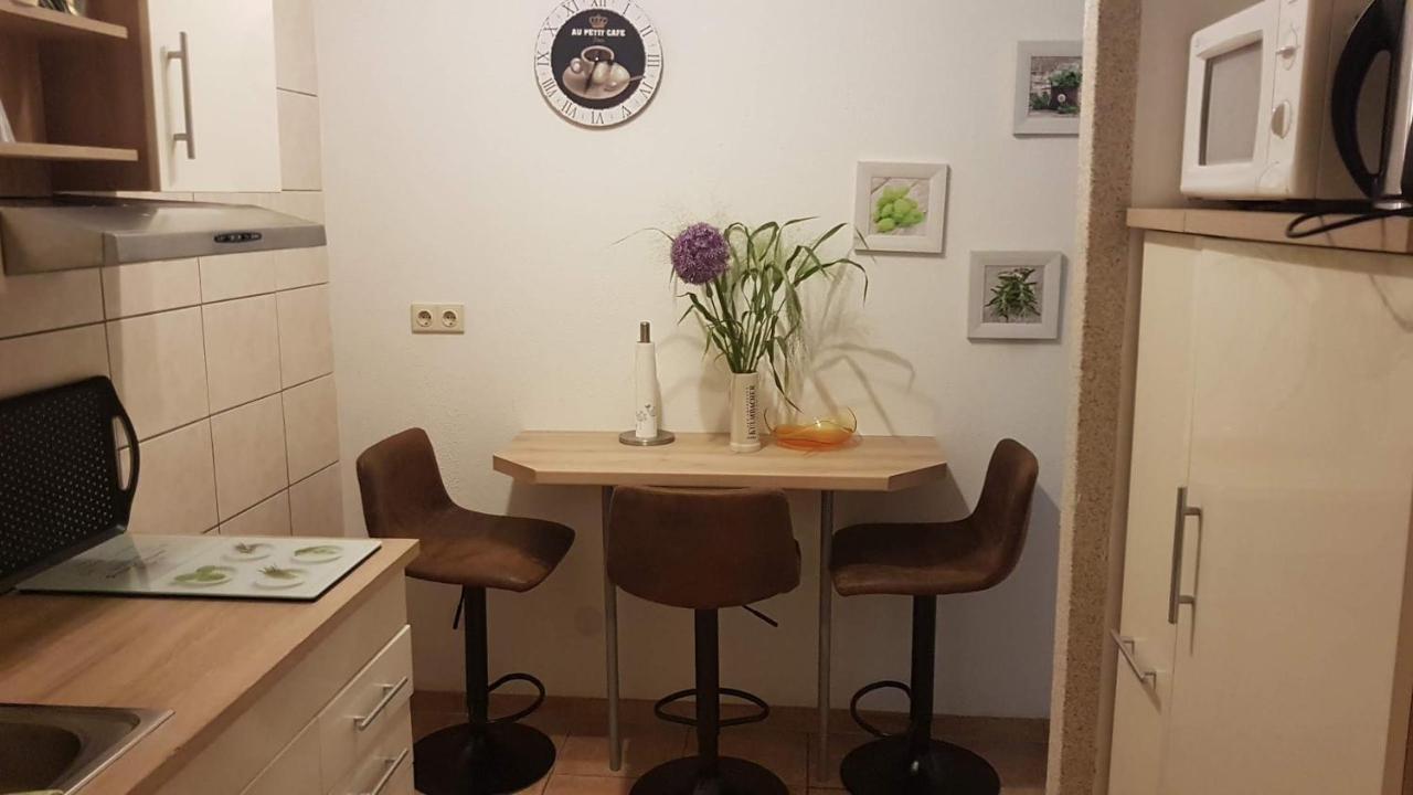 Apartment Im Gruenen Mit Anbindung Ans Zentrum Эрфурт Экстерьер фото